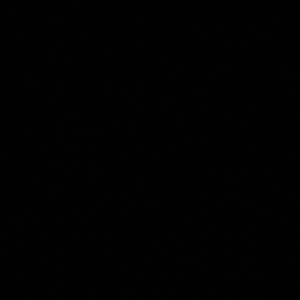 Meet your Posher, Kegan